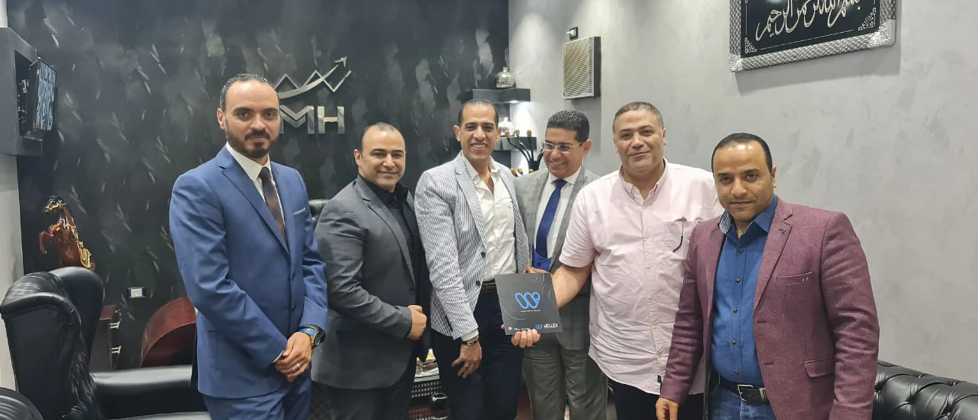 Willex Medical Supplies Alliance